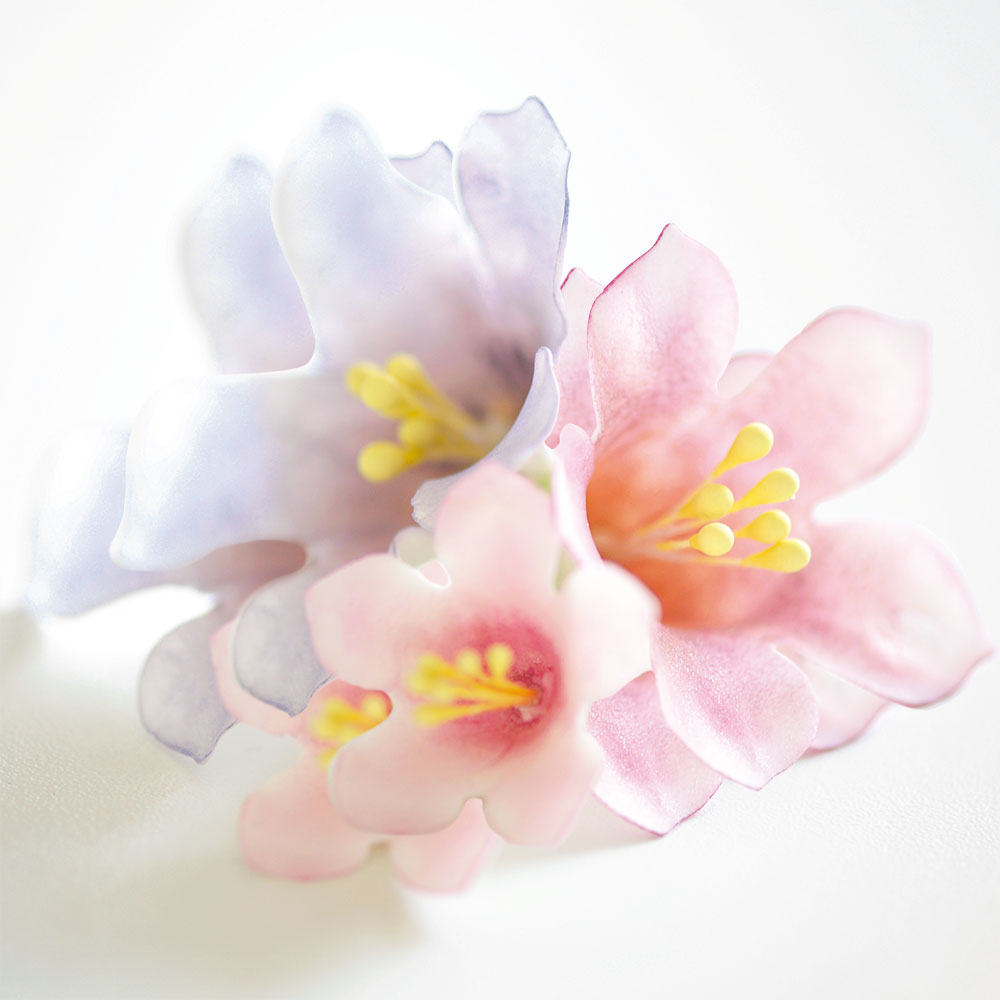 Decora Ausstechformen Petunia Set