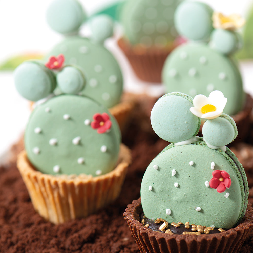 Decora Backmischung - Macaron - 250g