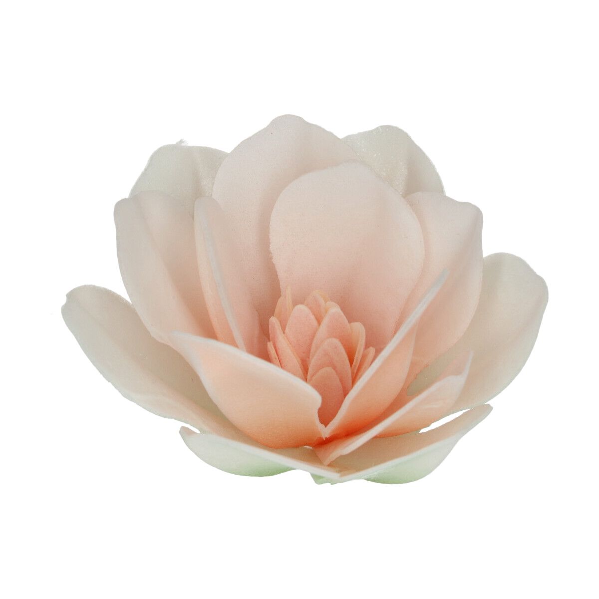 Funcakes Essbare Papierblumen Deluxe Magnolie weiss - Gross