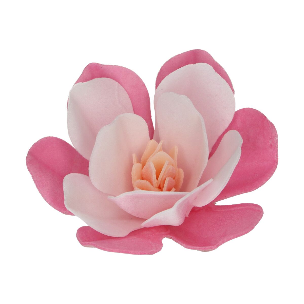 Funcakes Essbare Papierblumen Deluxe Magnolie rosa - Gross