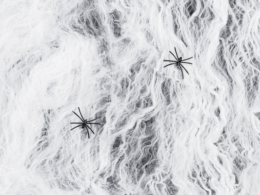 PartyDeco Spinnennetz mit Spinnen - Halloween