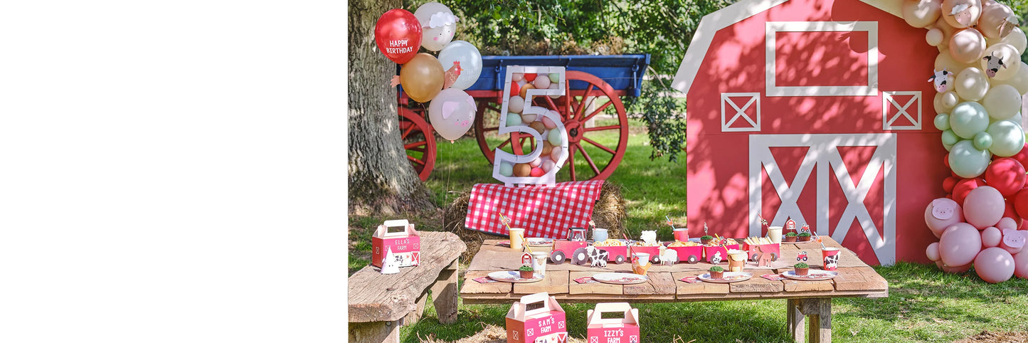 Ballons - ferme